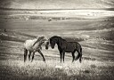 close encounter PostER Plakat / 50x70cm