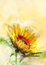 Blossom Sunny Plakat Plakat / 30x40cm