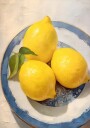 Lemon Still Life Blue Rimmed Plate Plakat Plakat / 100x150cm