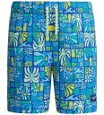 Speedo Badeshorts   Volleyball   Deep Sapphire m. Trykk   Speedo   14 16 år 164 176   Badetøy   Blå