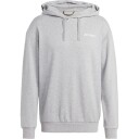 adidas Terrex Organizer Logo Hettegenser Herre Grå 2XL