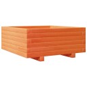 Plantekasse voksbrun 60x60x26,5 cm heltre furu