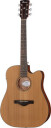 Ibanez AW65ECE-LG
