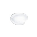 Waphyto Intimate Wash 120ml