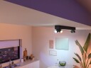 Philips Hue Centris taklampe med 4 spotlys sort