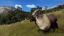 Way of the Hunter: Wild Expeditions Xbox Series X Spill