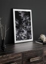 Pictufy Studio Iii Eucalyptus_Negative No.2 Plakat Plakat / 70x100cm