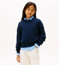 Tommy Hilfiger Genser   Strikk   Dark Natt Navy   Tommy Hilfiger   16 år (176)   Genser   Blå