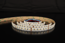 TL LS5050 RGBW27 96Leds/meter 24V 12mm 30W/m 1660LM/m 2700K 5m