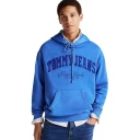 Tommy Jeans, Herre, Gensere & Hettegensere, Blå, M,