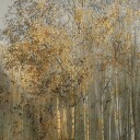 Birch impression Plakat Plakat / 50x50cm