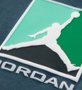 Jordan T skjorte   Ash Green m. Trykk   Jordan   12 13 år 152 158   T skjorte   Grønn
