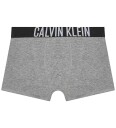 Calvin Klein 2 Pack Trunk Junior Flerfarget 8-10