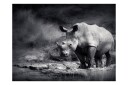 Fototapet Rhino Lost In Dreams 350x270 - Artgeist sp. z o. o.