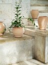 Bergs Potter Delphi potte med fat 2 deler Rosa Ø24 cm low