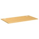 vidaXL Skrivebordsplate 100x60x1,5 cm bambus