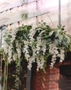 PartyDeco Girlander Blåregn med Blomster