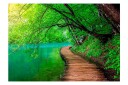 Fototapet Green Peace 100x70 - Artgeist sp. z o. o.