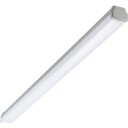 Philips Ledinaire WT060C, LED, 4000 K, 3600 lm, IP66, Grå, Hvit