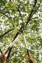 Fiskars Rydningssaks l powergear x ss