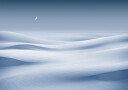 Moonlit Snow Waves Plakat Plakat / 40x50cm