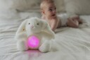Teddykompaniet Kanin Baby Nattlampe m. Lyd