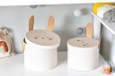 Alice &  Fox Oppbevaringsbokser 2-pack Kanin Rosa