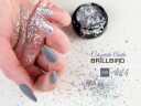Brillbird Norge Vivid Effekt Folie 4 Holo