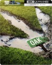 The End of Oak Street