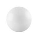 Ledvance reserveskærm for Surface Circular plafond Ø25 cm