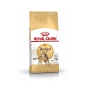 Royal Canin Bengal Adult Tørrfôr til katt 2 kg - Helse og pelspleie