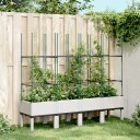 Plantekasse med espalier hvit 160x40x142,5 cm PP