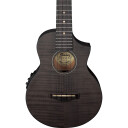 Ibanez UEW12E-BIF