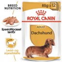 Royal Canin Dachshund Voksen Våtfôr 12x85 g