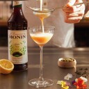 Barkonsult Monin Green Tea Concentrate 70 cl. 413186
