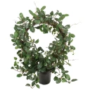 Mr Plant Stephanotis Potteplante 75 cm Hvit