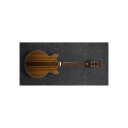 Ibanez AM93ME-NT
