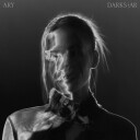 Ary Darkstar Limited Edition Vinyl