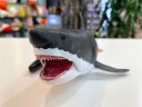 Collecta Megalodon Deluxe 1:40 Scale