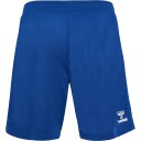 Danmark 24/25 Keepershorts Blå L