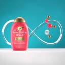 Ogx Bond Repair Conditioner 385 ml