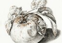 Apple Plakat / 50x70