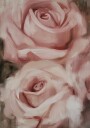 Roses Oil Painting Plakat Plakat / 50x70cm
