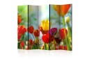 Romdeler Spring Tulips II 222x517 cm - Artgeist sp. z o. o.