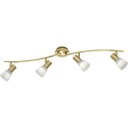 Trio Lighting Levisto spotter i tak 4 spotter