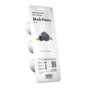 Click and Grow Smart Garden Refill 3-pack Black Pansy