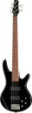 Ibanez GSR205-BK