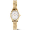 Daniel Wellington DW Watch Ophelia Mini Mesh White Gold 22x25,5mm