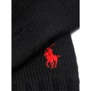 Polo Ralph Lauren, Herre, Accessories, Svart, ONE SIZE,