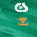 Esbjerg fB 25/26 Keepertrøye Grønn 2XL